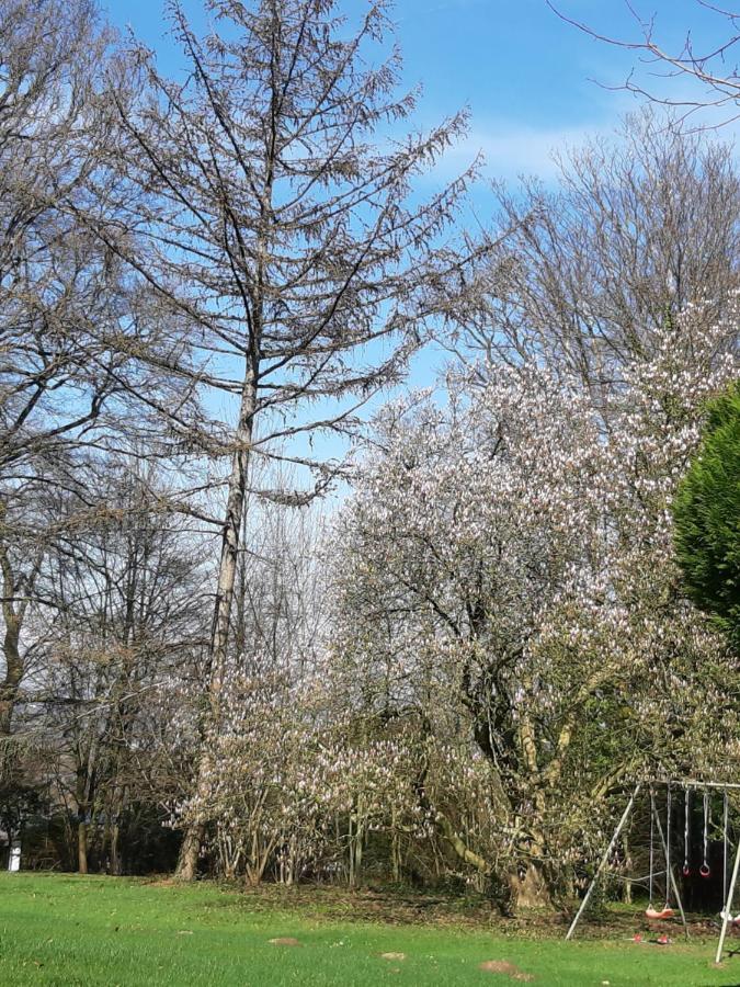 B&B Chatelet Cremers Verviers Extérieur photo